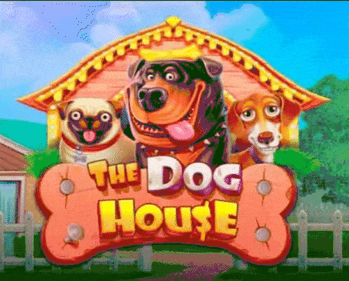 play the dog house in bruno casino